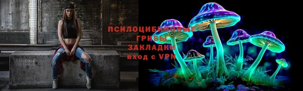 соль ск Бронницы