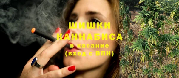 стаф Верея