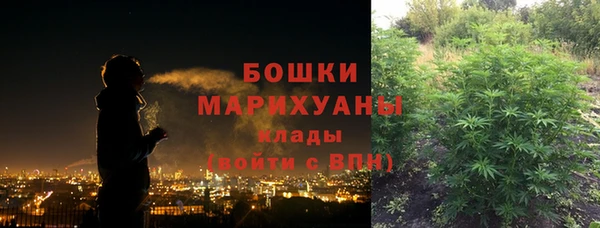 соль ск Бронницы