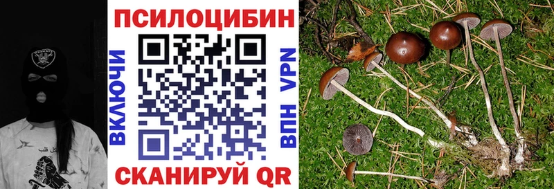площадка состав  Калтан  Псилоцибиновые грибы Magic Shrooms  цены   kraken маркетплейс 
